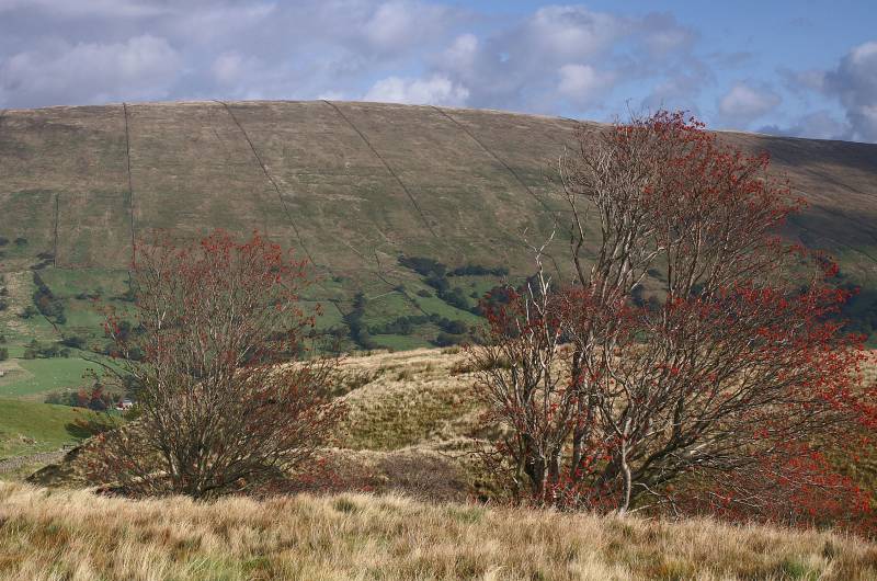 Under Combe Scar. 